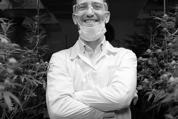Cannabis process improvement